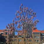 Logies Zen Aan Zee فندق مبيت وإفطار