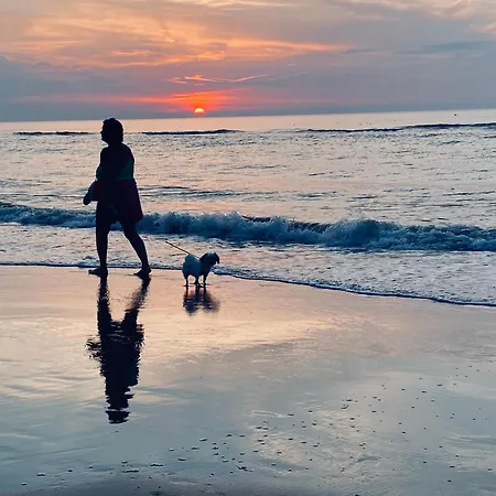 Logies Zen Aan Zee 4* أوستيند