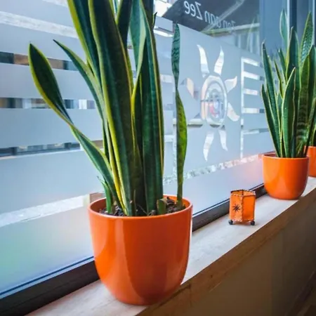 Bed & Breakfast Logies Zen Aan Zee 4*