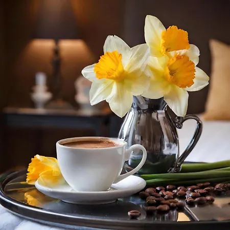 Bed & Breakfast Logies Zen Aan Zee Ostend