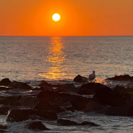 Alojamento de Acomodação e Pequeno-almoço Logies Zen Aan Zee Ostend