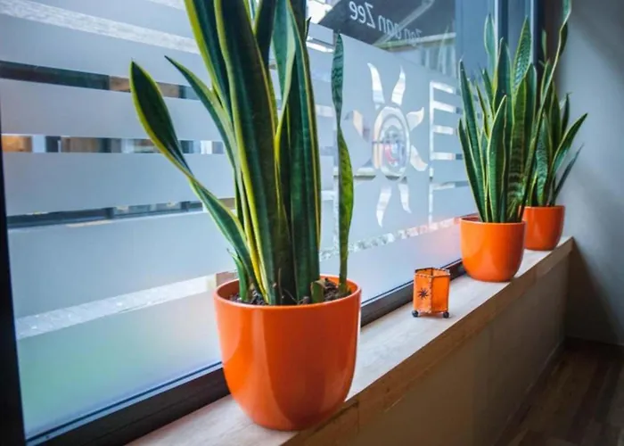 Bed and breakfast Logies Zen Aan Zee 4*