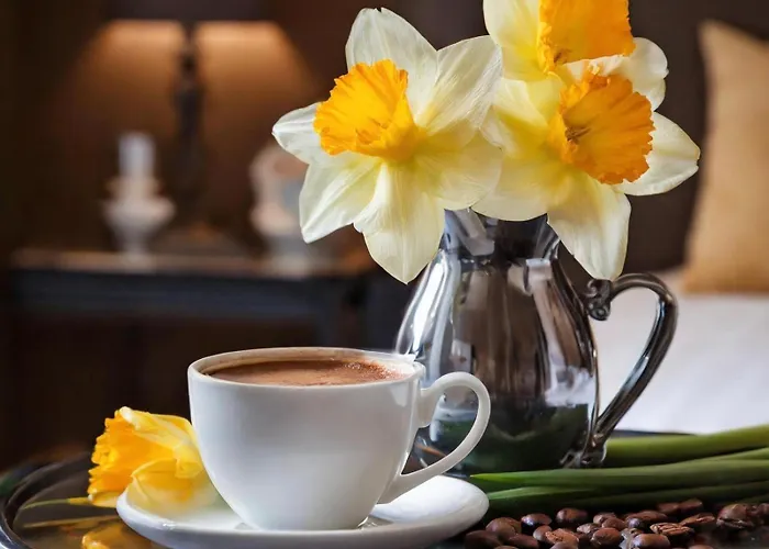 Bed & Breakfast Logies Zen Aan Zee Ostend