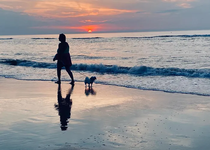 Logies Zen Aan Zee 4* Остенде